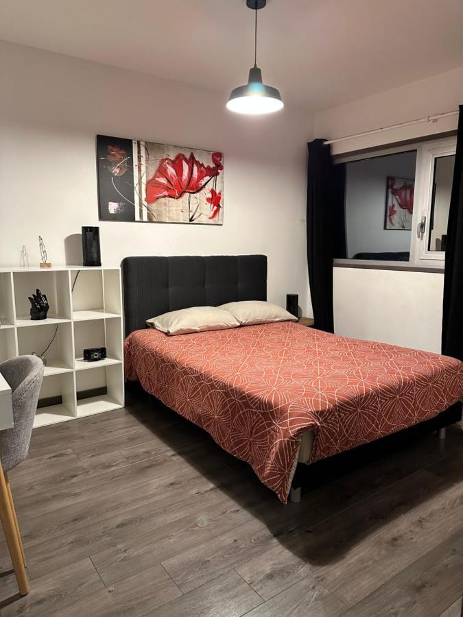Apartmán Magnifique Loft - Hyper Centre Annemasse Exteriér fotografie